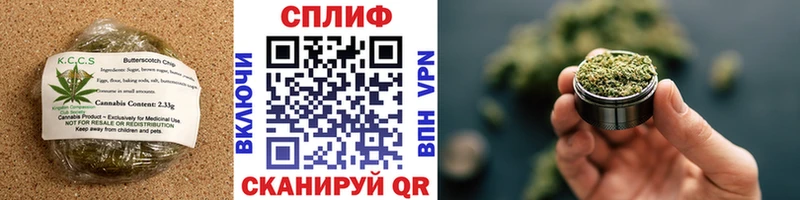 купить наркоту  MEGA ссылка  Cannafood конопля  Канск 