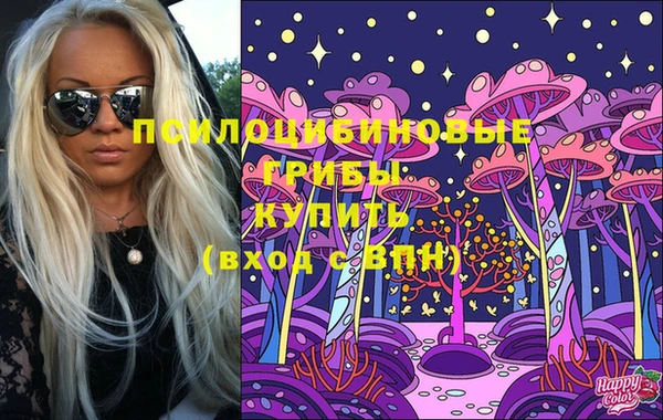 спайс Алексин