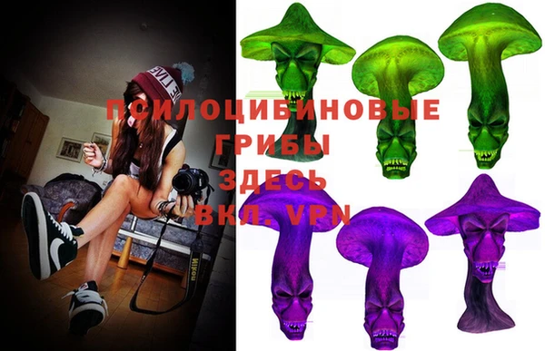 спайс Абаза