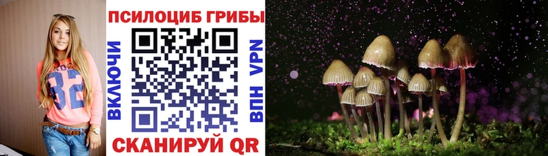 darknet наркотические препараты  Канск  Галлюциногенные грибы прущие грибы 